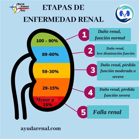 irc barcelona|Insuficiencia Renal Crónica 